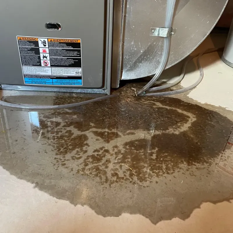 Appliance Leak Cleanup in Overland Park, KS