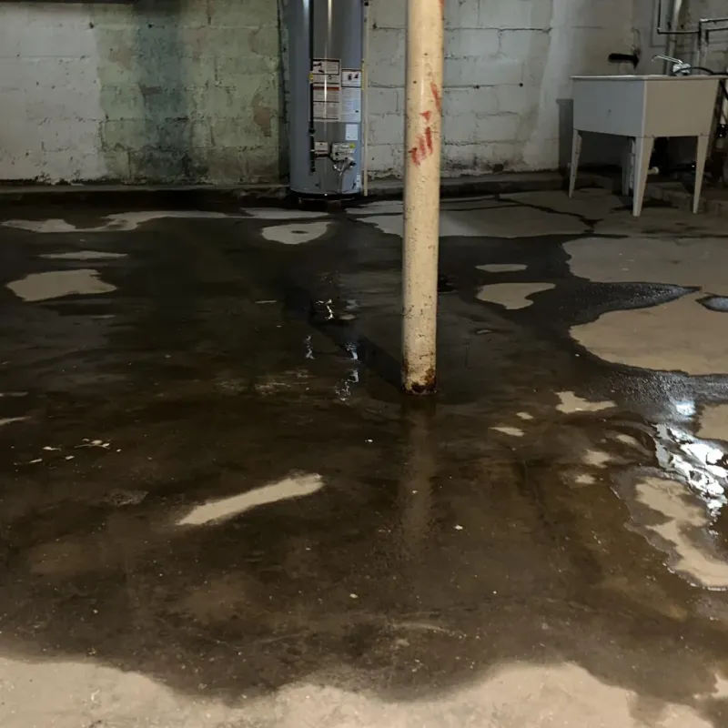 Emergency Water Extraction And Removal in Overland Park, KS